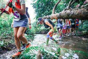 BIB: 
                            <button type="button" onclick="openModal(25449916)" class="btn btn-primary btn-sm float-right btn-popup" data-toggle="modal" data-target=".modal-high-quality">
                        <i class="fas fa-shopping-cart"></i> Add to Cart
                    </button>
                                            <button type="button" onclick="isThisMe(25449916, true)" class="btn btn-success btn-sm float-right btn-popup btn-isme hidden" data-toggle="tooltip" data-placement="bottom" title="นี่คือรูปของคุณใช่ไหม คลิกที่นี่เพื่อเอาเข้าอัลบั้ม">
                        <i class="fas fa-plus"></i> Add to album
                    </button>
                    <button type="button" onclick="isThisMe(25449916, false)" class="btn btn-warning btn-sm float-right btn-popup btn-isnotme hidden">
                        <i class="fas fa-ban"></i> Remove from album
                    </button>